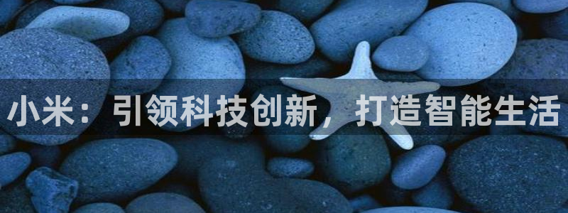 凯发k8国际手机网页