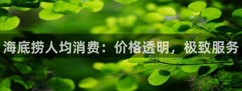 凯发官网入口首页