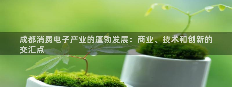 AG凯发旗舰厅